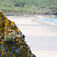 looking over st ives cornwall