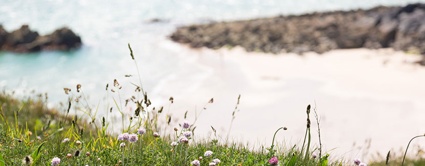 Holiday Accommodation is St Ives Cornwall - St Ives Harbour